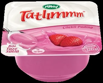 TATLIM DANONE ÇİLEKLİ