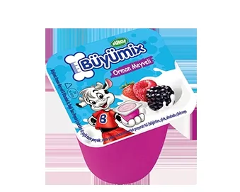 BÜYÜMİX DANONE(ÇİLEKLİ)